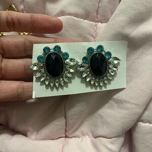 Elegant Black and Silver Statement Earrings